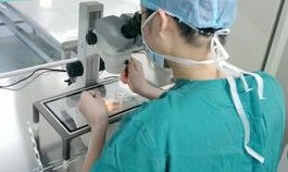 广东省湛江市10大助孕机构排行榜前十