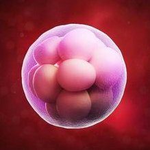 盘锦市中心医院三代试管婴儿，费用明细表