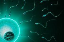 2026年济南市中心医院三代试管技术如何？大概要花费多少钱？