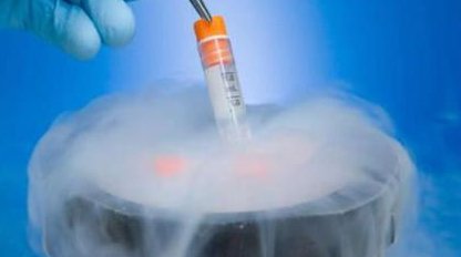 2026沈阳专业助孕机构：值得信赖的可靠之选？